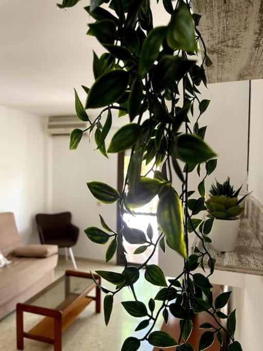 Apartamento Al Lado De La Playa Rincón de la Victoria Exterior foto